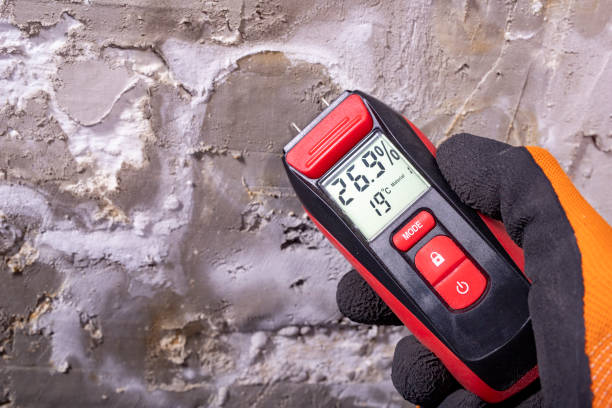 Best Fast Mold Removal  in Caro, MI