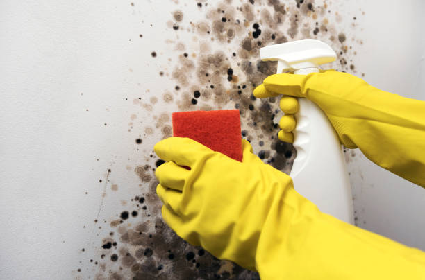 Water Damage Restoration in Caro, MI
