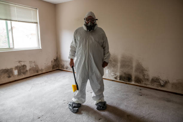 Best Same-Day Mold Removal  in Caro, MI